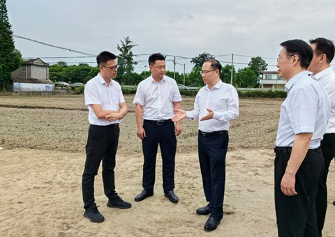 胡云赴眉山调研耕地；；；；；；；；だ煤透弑曜寂┨锝ㄉ韫ぷ