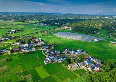 湖南：靶向发力盘活存量土地资产<br>为206家机关企事业单位定制处置方案，，，，，，，盘活土地2.6万亩