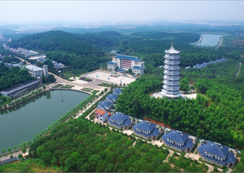 湖北：用好“一张图” ，，，，，智治有支撑